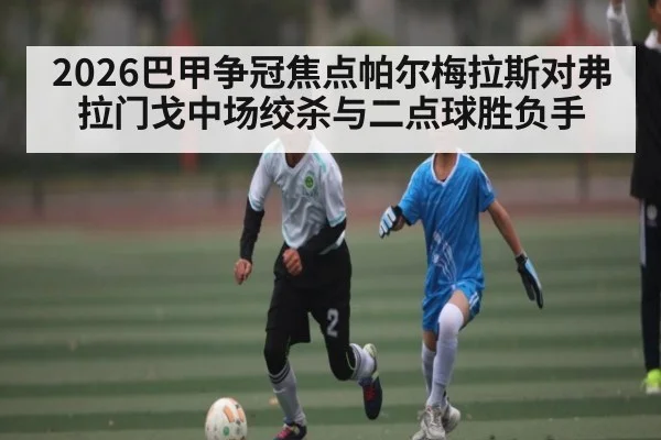 2026巴甲争冠焦点帕尔梅拉斯对弗拉门戈中场绞杀与二点球胜负手